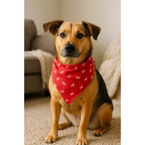Red Dog Print Bandana PetLabCo Adjustable Triangle Scarf Accessory